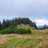 7596C2E3-F7A7-4197-92FC-EBBF4D355E1C