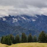 8111B6ED-E45F-4E42-A748-8F77EC8071F5