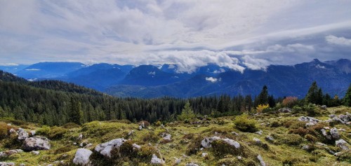 AB08D09E A08E 4983 9F5B 60FB34EDC98F