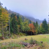 3A1F31F5-E89C-4957-A347-2FD1AFB6F6FC