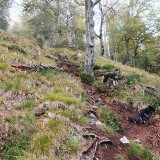 3C629F05-4FCD-4C7D-A187-CD5ED5FA33BE