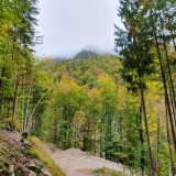 3EA7C07D-1B98-4C98-9072-19165A6D0EBF