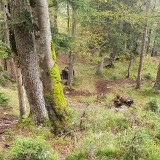 7F76E219-F4BA-4BC4-81CA-D0CBE9A28AB8