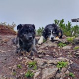 B9A60584-DA15-4DB6-94F6-12D18B6D05E4