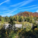 2FA2E541-4D3F-4CCA-A3B1-4C7CF7EAFC5F