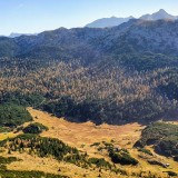 274326FE-90B7-49CA-85D2-50FE0C650A5F