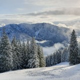 9BFD7F0B-8A2E-49E5-A532-ABC953CFE5C4