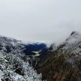 729E39AA-82FA-410F-915D-12F2F0D45336