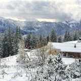 FEF15E25-314A-464C-B1A4-0440D498BF10