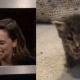 Emilia-Clarke-52129