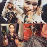 Emilia-Clarke-53131f977513d67b1865c