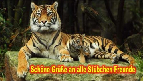 Augenblicke 1a