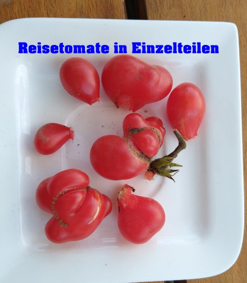 Reisetomate.jpg