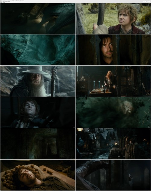 The Hobbit The Desolation of Smaug (2013) Extended 1080p 5.1 2.0 x264 Phun Psyz.mp4 thumbs