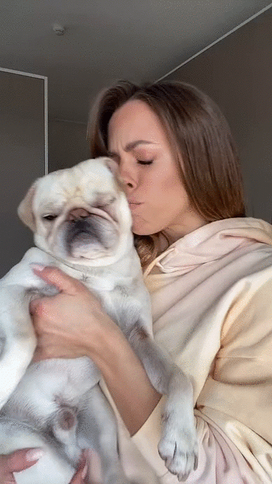 hund.gif
