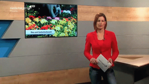 28.04.2021-Christiane-Allinger.gif