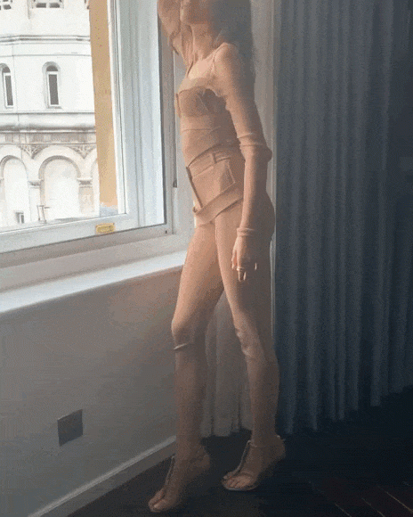 window.gif
