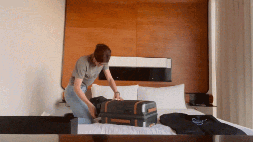 N2.gif