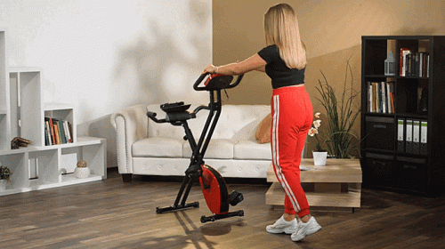 FIT1-4.gif