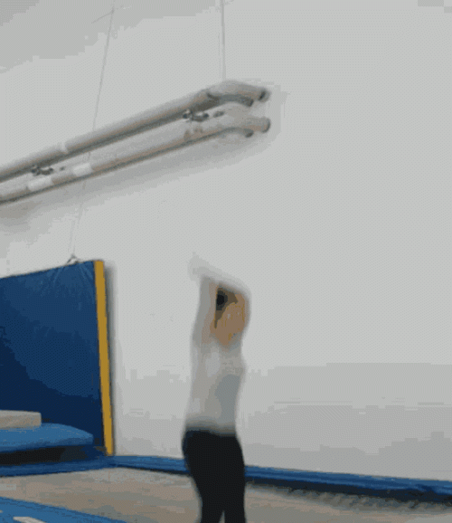 annalena-baerbock.gif