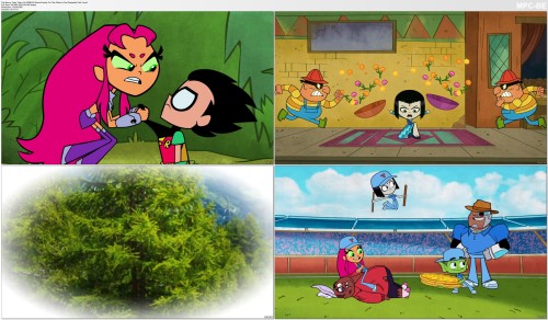 Teen Titans Go S06E25 Where Exactly On The Globe Is Carl Sanpedro Part 3.mp4