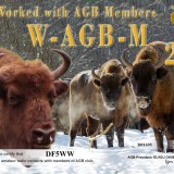 DF5WW-WAGBM-250_AGB
