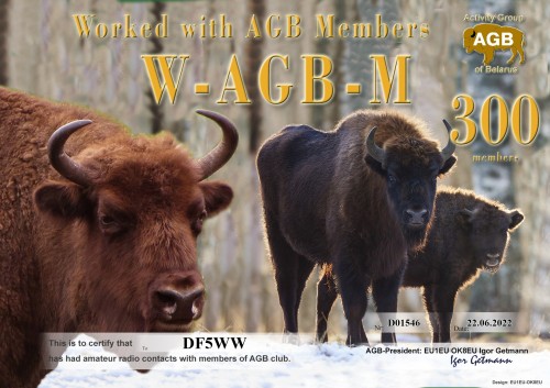 DF5WW WAGBM 300 AGB