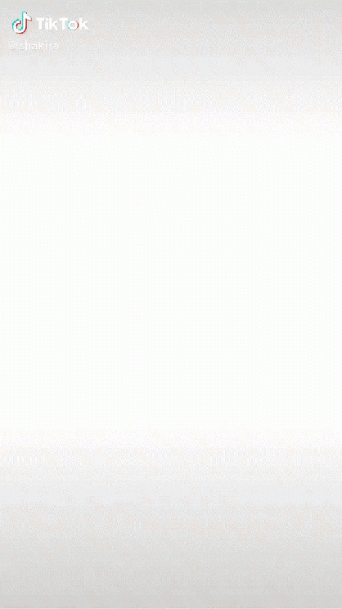 x1.gif
