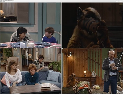 Alf S02E17 Someone To Watch Over Me Part 2.mp4