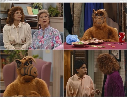 Alf S03E23 Have You Seen Your Mother Baby Standing In The Shadow.mp4
