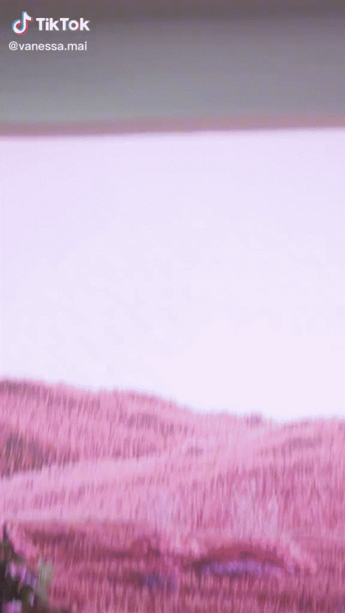 Meta-Live.gif