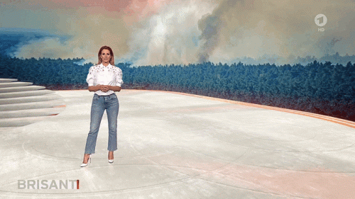 saft3.gif