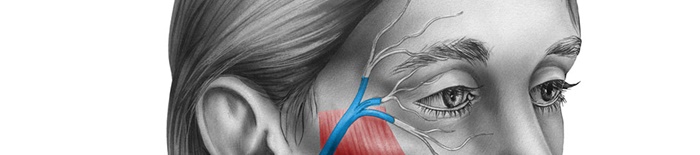 KrankheitendesN.facialis1.jpg