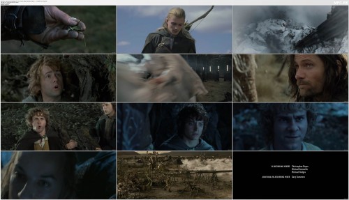 The Lord Of The Rings The Two Towers (2002) Extended 1080p 5.1 2.0 x264 Phun Psyz.mp4