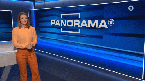 vlc-record-2022-10-21-13h08m23s-Panorama-vom-20.Oktober-2022-ARD-Mediathek.mp4.gif