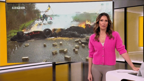 sc1-1.gif