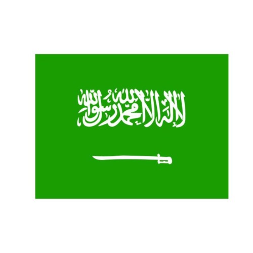 Want to apply for a Saudi visa online? Apply for a Saudi tourist visa and business visa with our full guidance. For any queries on Saudi Visa Online contact us.

For more information visit the site : https://www.saudi-visa.org/visa