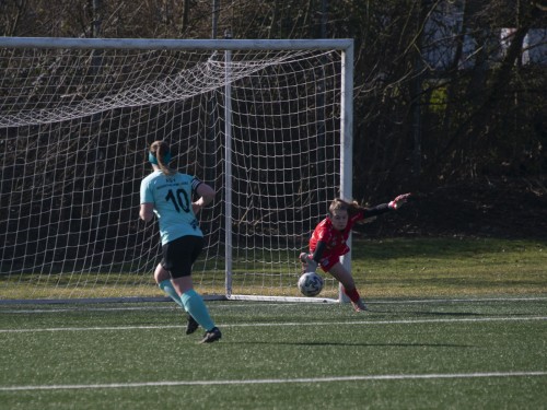 lask_1b-niederthalheim_11-1_18-02-2024-48.jpeg