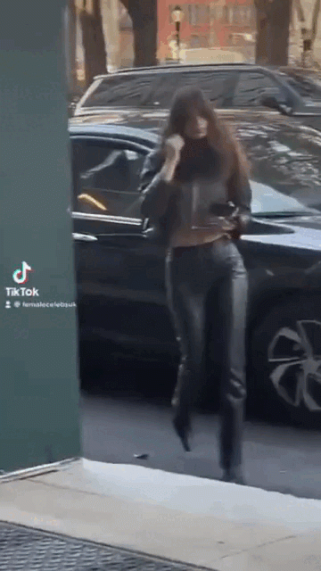 Leder.gif