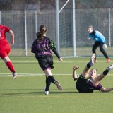 fnz-hellmonsoedt_0-3_02-03-2024-04