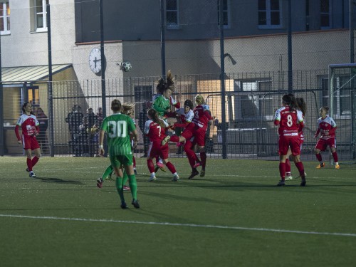 steyr-rapid_3-1_02-03-2024-14.jpeg