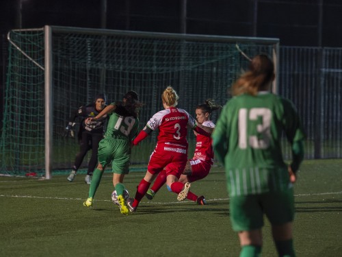 steyr-rapid_3-1_02-03-2024-19.jpeg