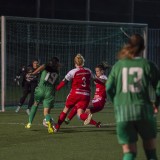 steyr-rapid_3-1_02-03-2024-19