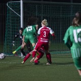 steyr-rapid_3-1_02-03-2024-20