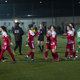 steyr-rapid_3-1_02-03-2024-53