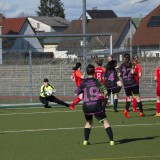 fnz-vorchdorf_2-0_09-03-2024-08