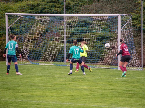 ried-niederthalheim_4-2_23-03-2024-7225485fb602930634.jpeg