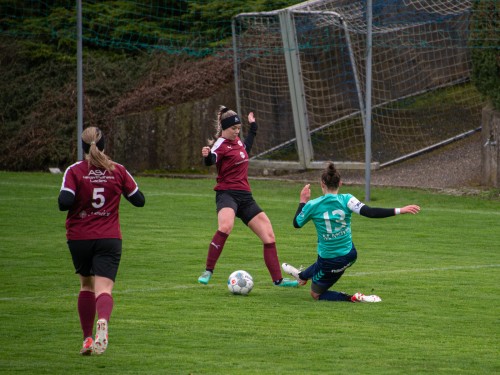 ried niederthalheim 4 2 23 03 2024 78