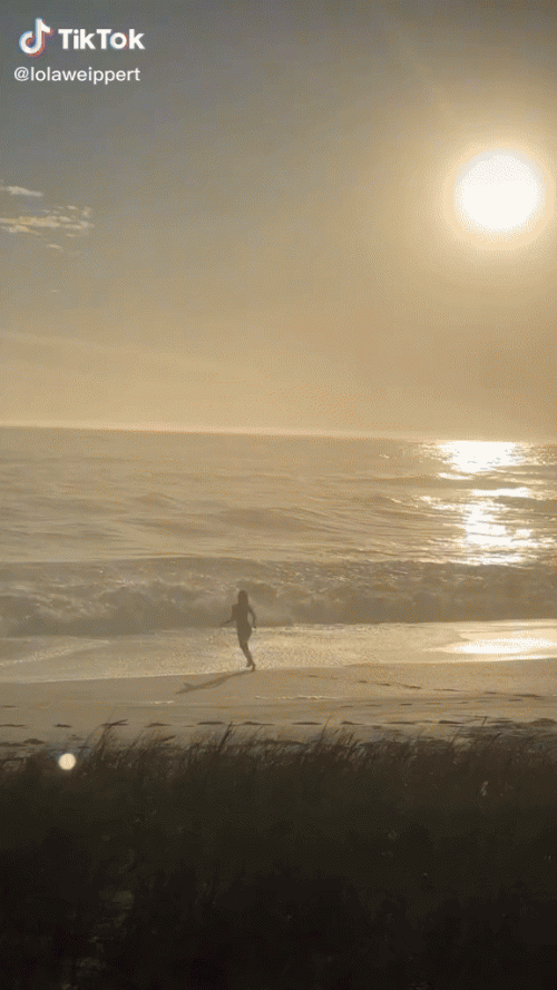LWX-15.gif