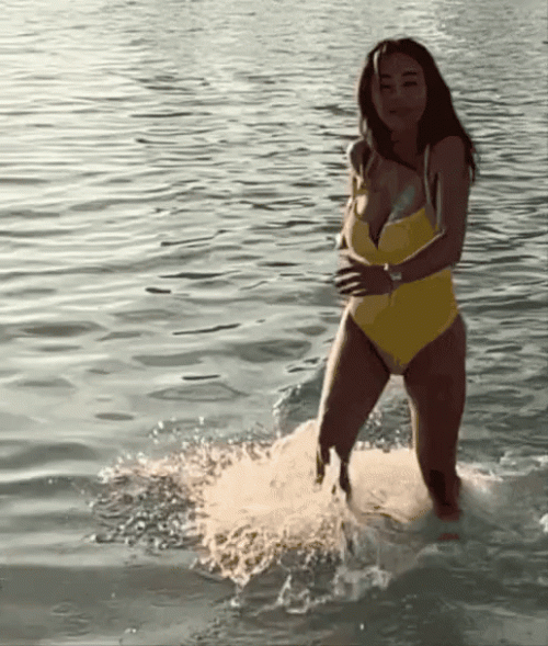 pflugt.gif
